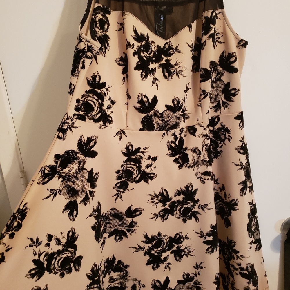 Cream color and black rose Skater dress